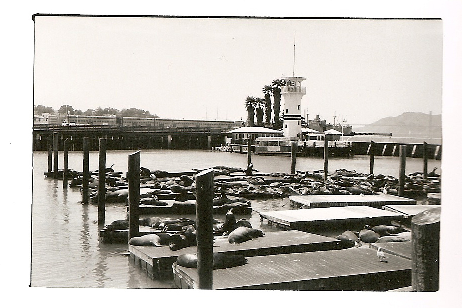 SanFranScans_Kodak400TX_03